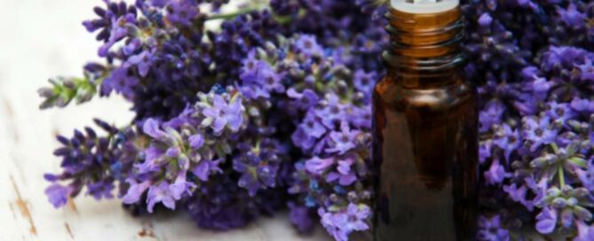 Aceite-esencial-de-lavanda