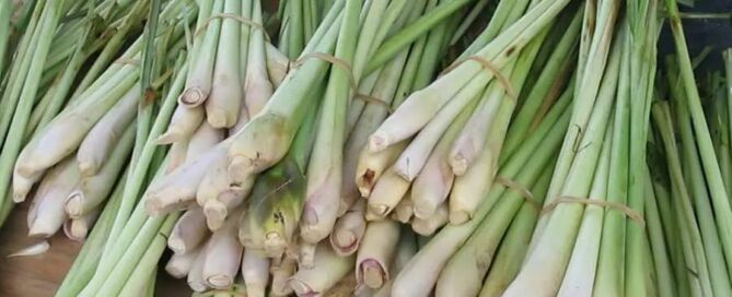 aceite-esencial-de-lemongrass-propiedades