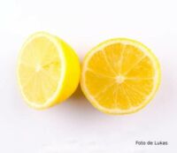 piel-de-limon