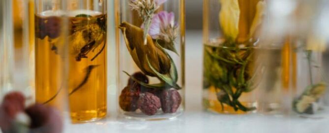 Diccionario-de-perfumes-fragancias-de-hogar-y-aromaterapia