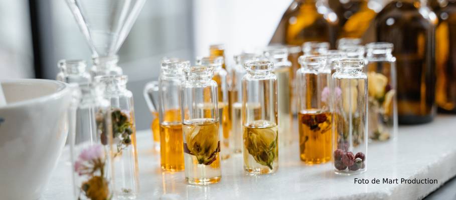 Cómo utilizar aceites esenciales en un quemador de aromas? - Blog de   sobre velas