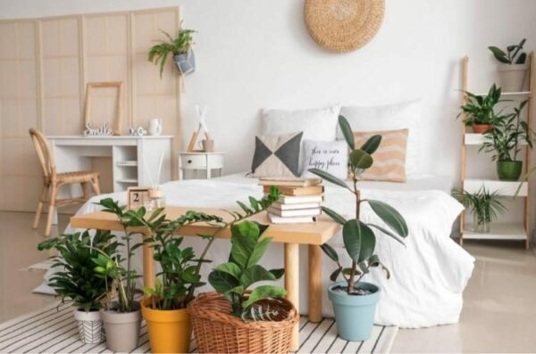 plantas-en-el-dormitorio