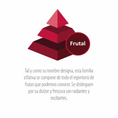 Piramide-Frutal